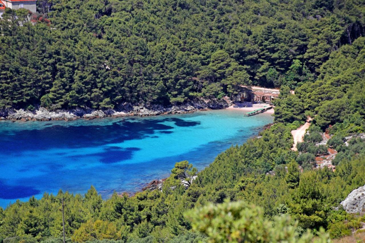 Apartments By The Sea Luka Dubrava, Peljesac - 4568 Janjina Exteriör bild
